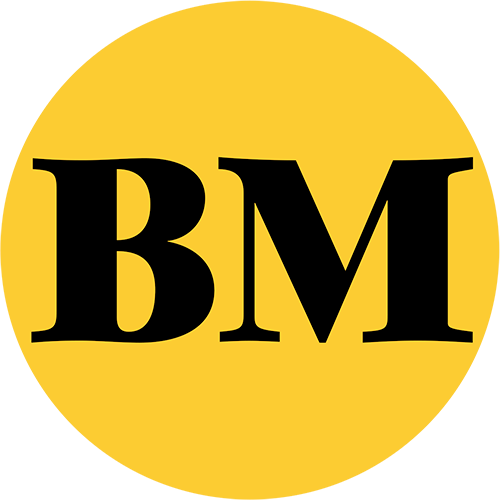 Business Mirror Logo